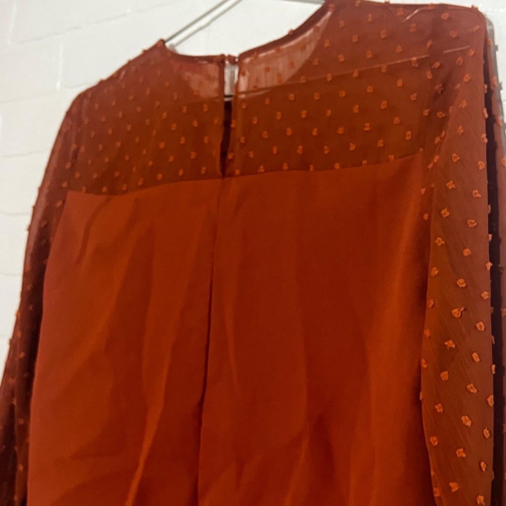 Pink Lily Womens Top Burnt Orange Sheer Balloon Sleeve Fall Long Sleeve Small - Picture 6 of 8